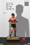 Rocky II View 23