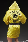 Rocky II View 11
