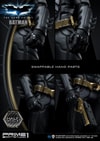 Batman Collector Edition (Prototype Shown) View 38