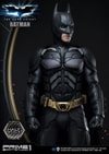 Batman Collector Edition (Prototype Shown) View 41