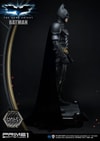 Batman Collector Edition (Prototype Shown) View 43