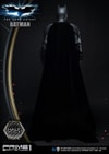 Batman Collector Edition (Prototype Shown) View 45
