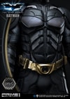 Batman Collector Edition (Prototype Shown) View 23