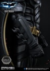 Batman Collector Edition (Prototype Shown) View 12