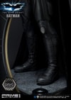 Batman Collector Edition (Prototype Shown) View 22