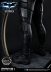 Batman Collector Edition (Prototype Shown) View 4