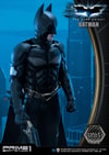 Batman Collector Edition (Prototype Shown) View 6