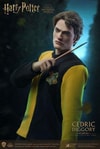 Cedric Diggory (Tri-Wizard Version) (Prototype Shown) View 5
