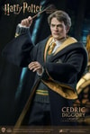 Cedric Diggory (Deluxe Version)- Prototype Shown