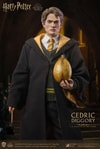 Cedric Diggory (Deluxe Version)