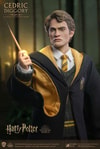 Cedric Diggory (Deluxe Version)