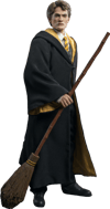 Cedric Diggory (Deluxe Version)