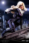 Black Cat- Prototype Shown