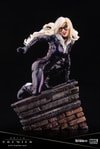 Black Cat- Prototype Shown