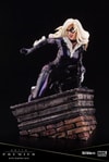 Black Cat- Prototype Shown