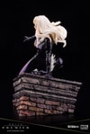 Black Cat