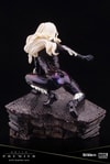 Black Cat