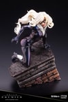 Black Cat