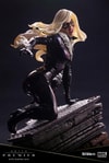 Black Cat