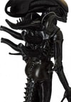 Alien Big Chap