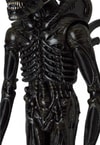 Alien Big Chap