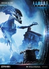 Queen Alien Battle