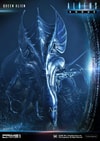 Queen Alien Battle