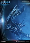 Queen Alien Battle