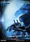 Queen Alien Battle