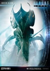 Queen Alien Battle