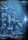 Queen Alien Battle