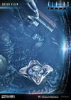 Queen Alien Battle- Prototype Shown