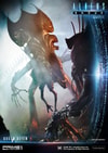 Queen Alien Battle