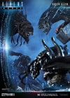 Queen Alien Battle