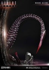 Rogue Alien Battle