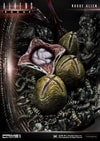 Rogue Alien Battle