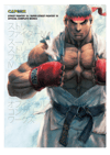 Street Fighter IV Official Complete Works (Prototype Shown) View 6