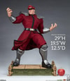 M. Bison
