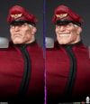 M. Bison