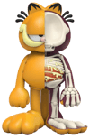 XXRAY Plus: Garfield