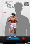 Rocky View 21