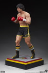 Italian Stallion View 27
