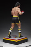 Italian Stallion View 21