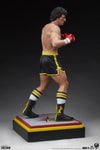 Italian Stallion View 29