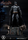 Batman Batsuit V 7.43 Collector Edition (Prototype Shown) View 8