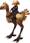 Shantotto & Chocobo (Prototype Shown) View 14