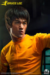 Bruce Lee (Prototype Shown) View 13