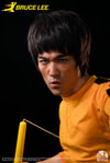 Bruce Lee (Prototype Shown) View 2