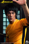 Bruce Lee (Prototype Shown) View 9