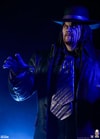 The Undertaker: Summer Slam '94